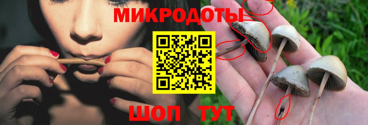 Псилоцибиновые грибы Psilocybine cubensis Мытищи