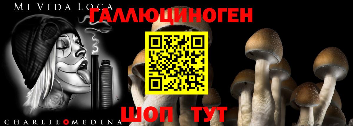 Псилоцибиновые грибы Psilocybine cubensis  Вход с VPN  Мытищи  как найти закладки  Галлюциногенные грибы мухоморы 